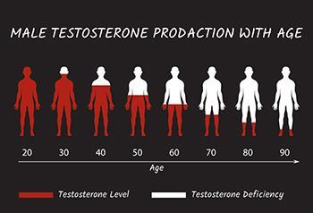 Male Testosterone